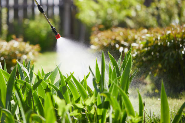 24/7 Emergency Mosquito Control experts in Bogalusa, LA