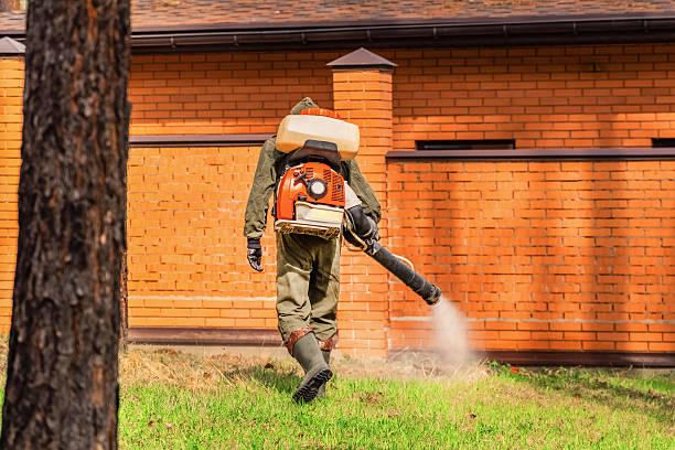 Top rated local Mosquito Control specialists in Bogalusa, LA
